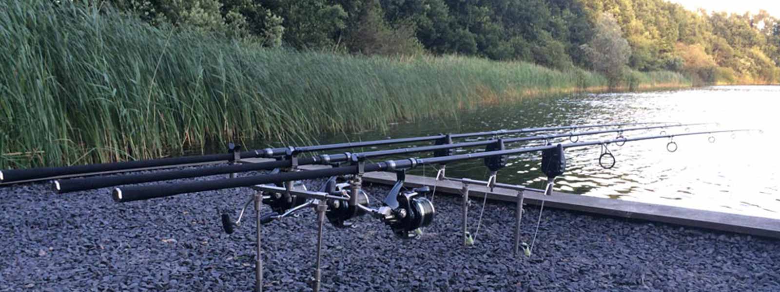 carplantis_tips_slappelijnen_raven