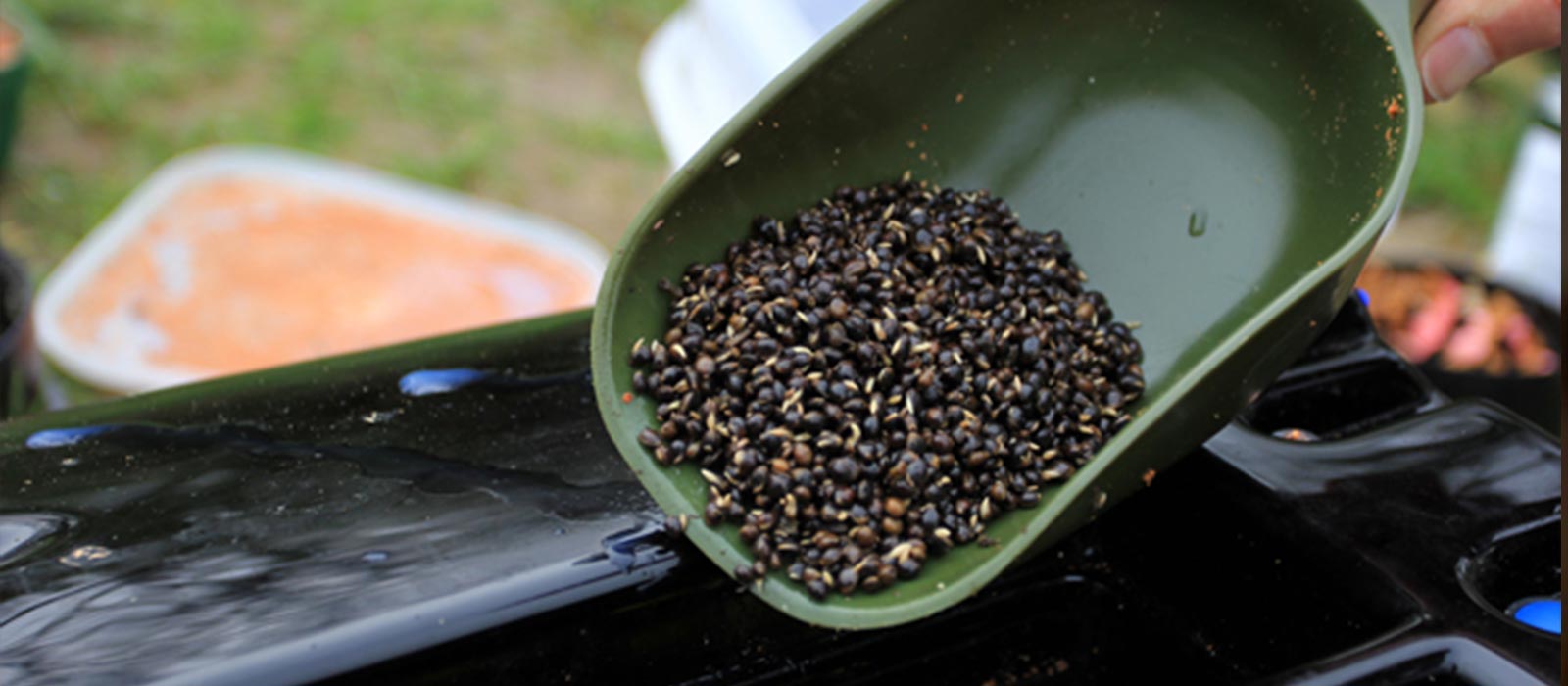 scheppen_hennep_voer