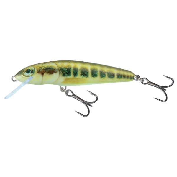 Salmo Minnow Floating | Plug | Minnow | 7cm