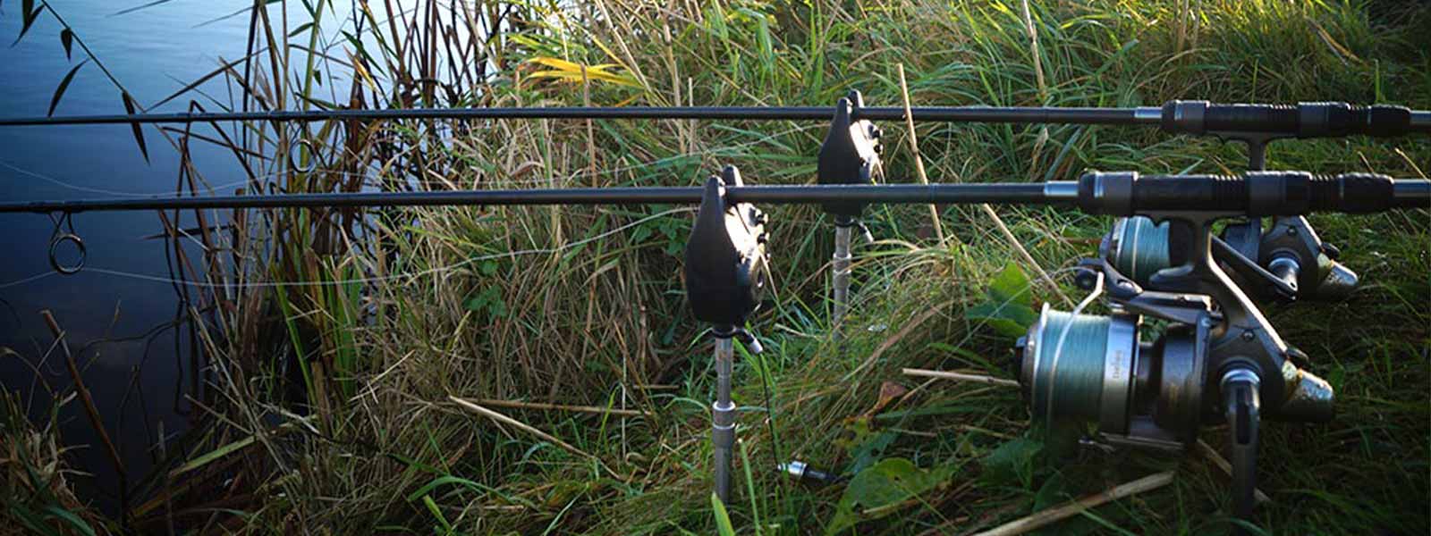 graskarper_lijnen_raven