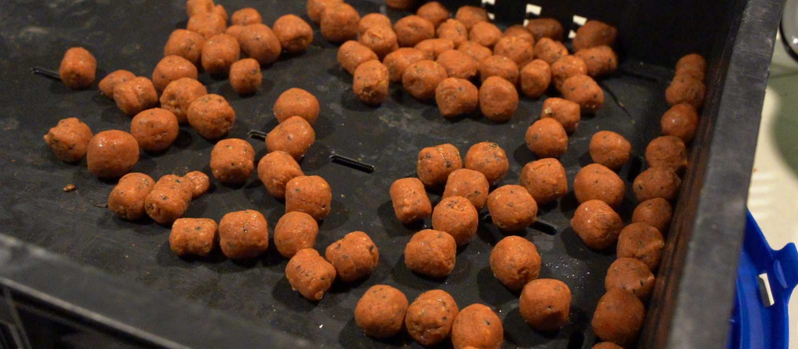 Zelfgemaakte boilies