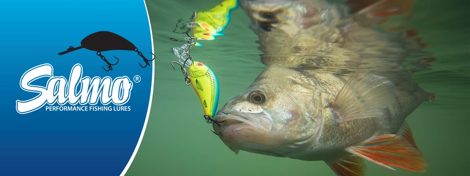 Salmo Rattlin’Hornet 5,5cm - Drijvend