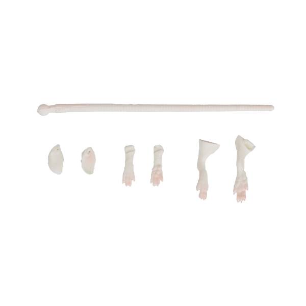 Savage Gear SG 3D Rad Maintenance Kit 30cm 03 White