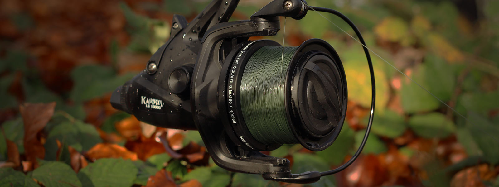 vrijloopmolens_Faith_raven