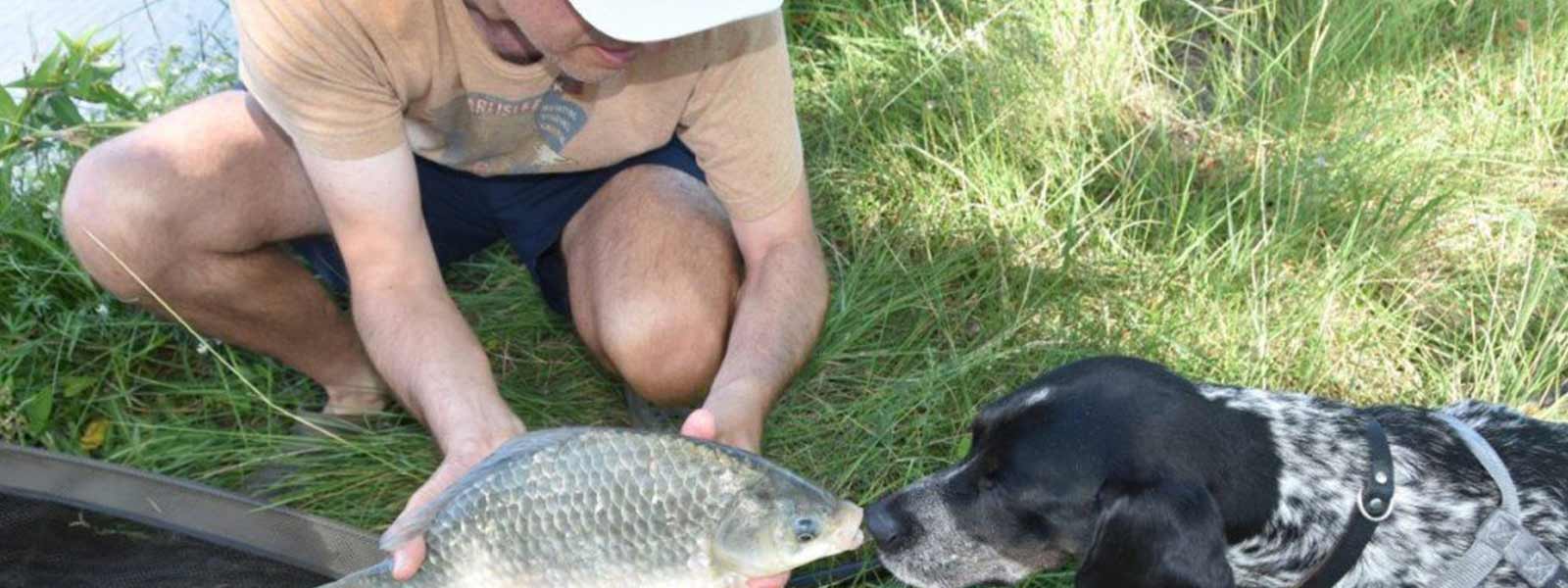 Een vangst in Frankrijk