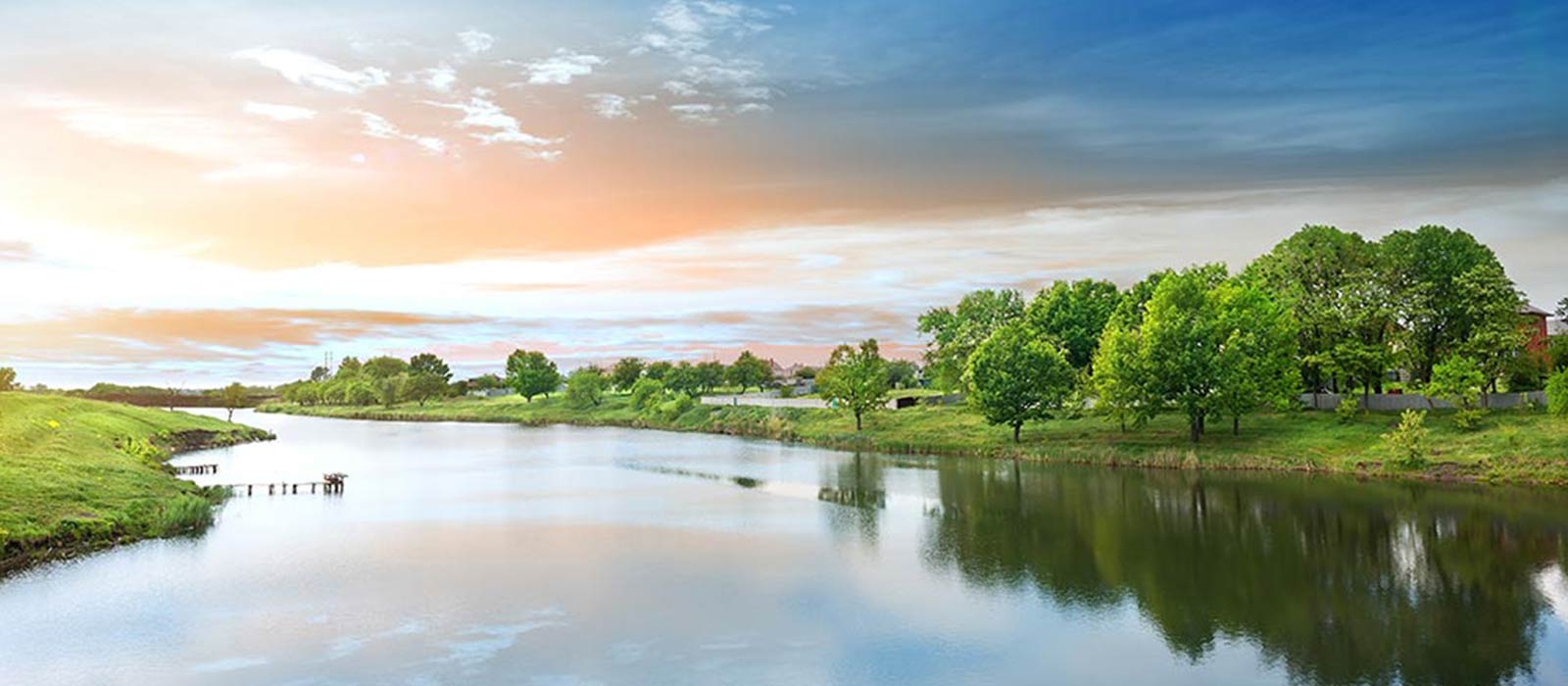 Meerval vissen op Nederlands water