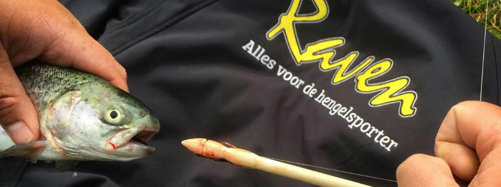 Forelvissen_Hakensteker_Raven