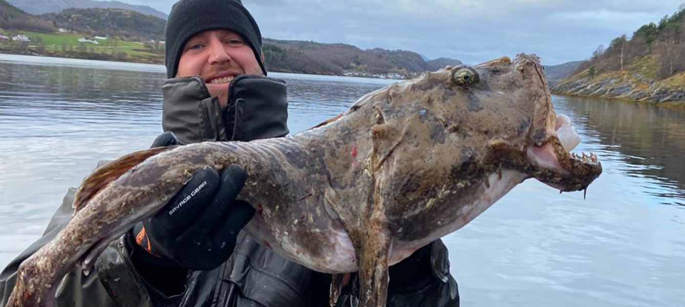 Saltstraumen noorwegen