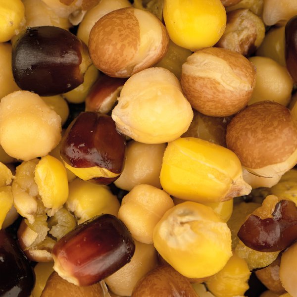 Nash - Large Seed Mix - 500ml