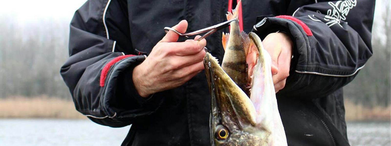 Onthaaktang en kieuwgreep voorbeeld