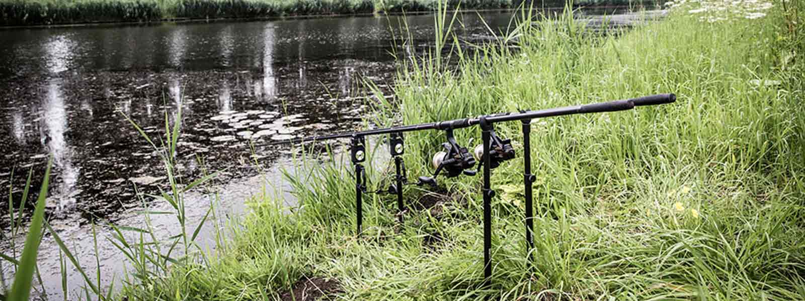 Blog_karpervissen_algemeen