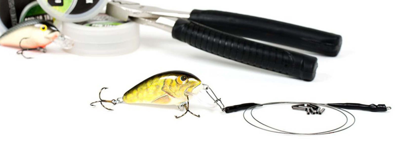 Roofvisonderlijnen_Raven_Uitgelicht