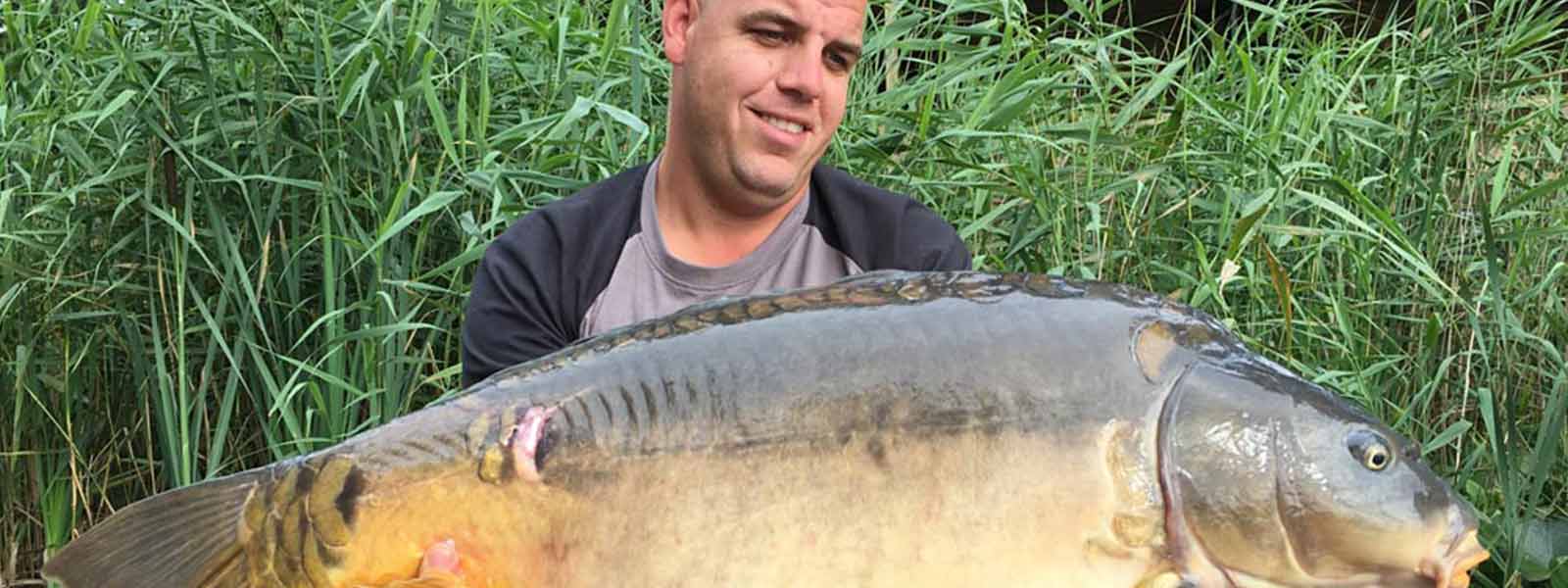 carplantis_tips_peter_raven