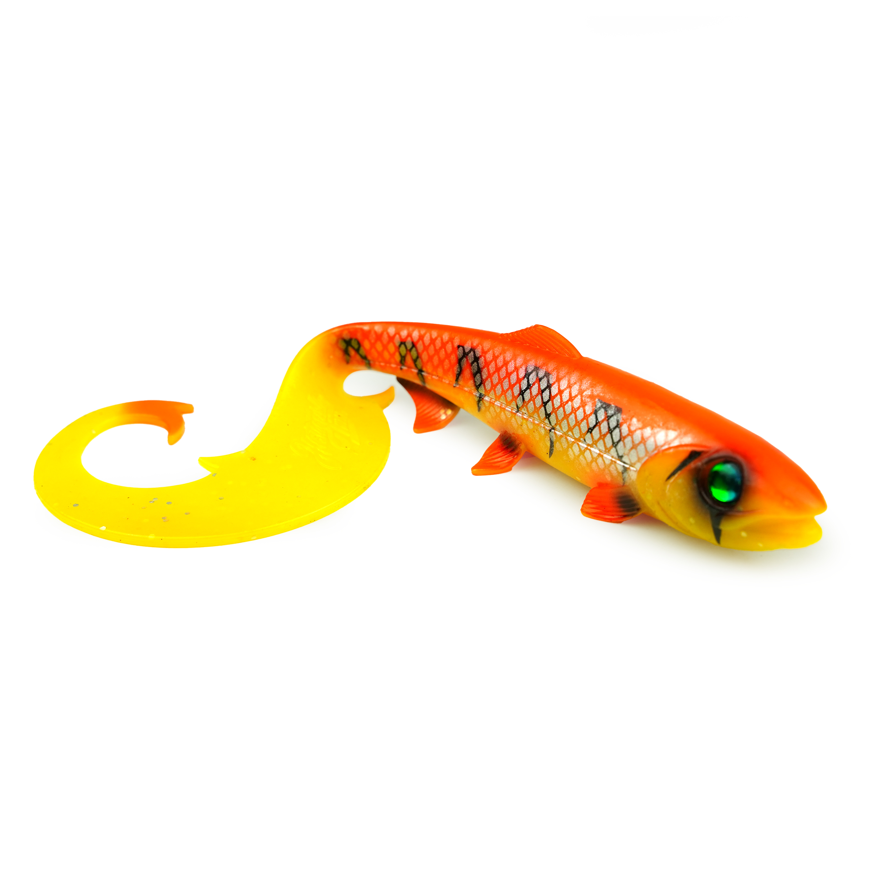 Hostagevalley Curlytail - Flame Fish - 24cm