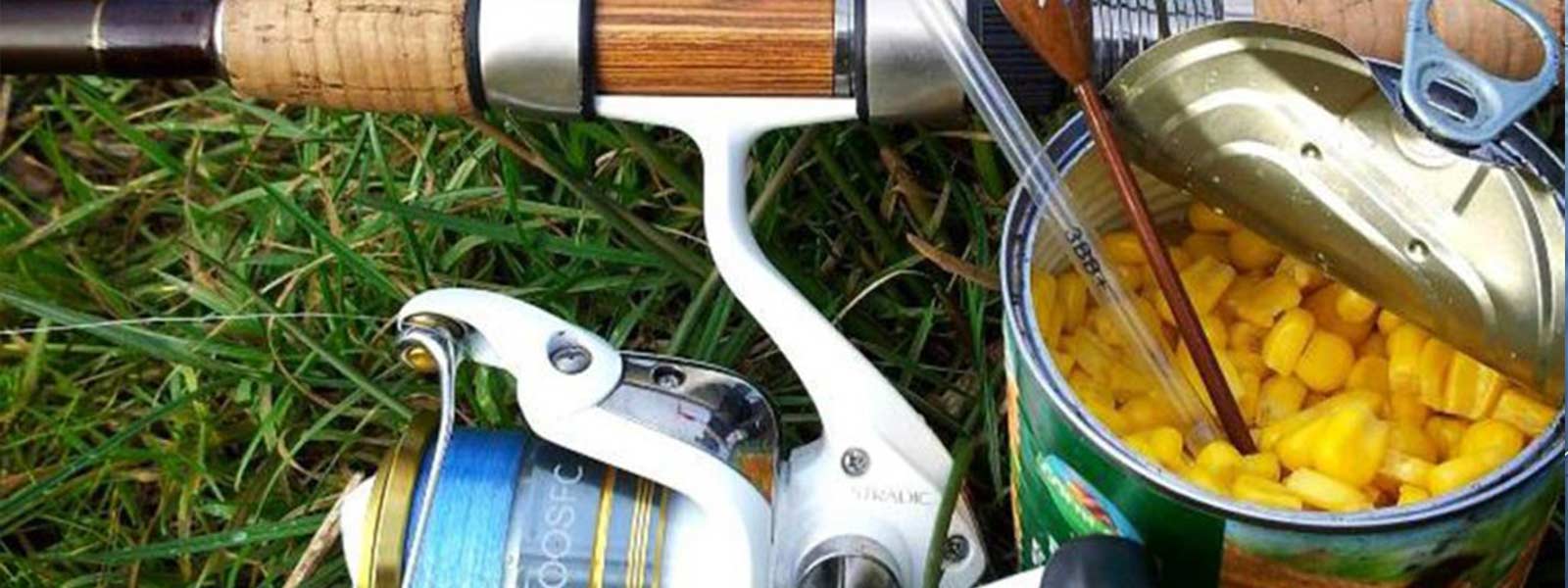 Penvissen_Montage_Raven