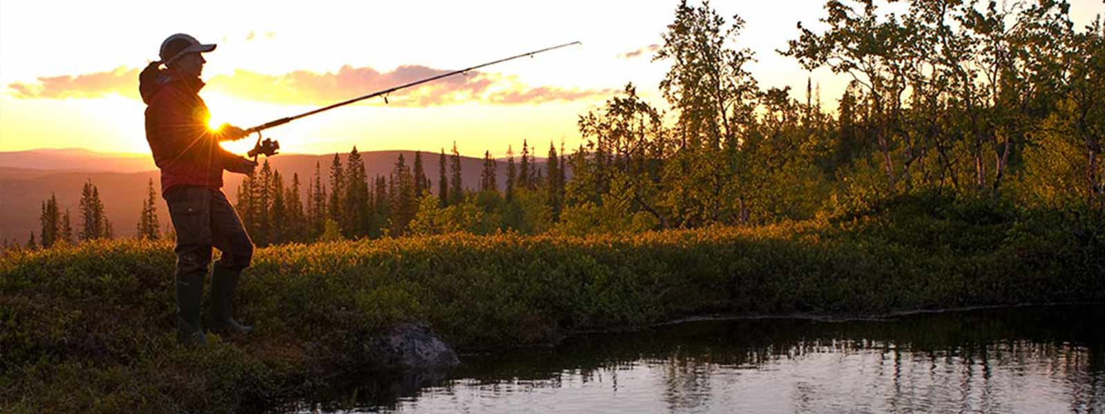 spinhengels_materiaal_raven