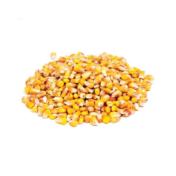 Evezet Mais Heel | 1kg