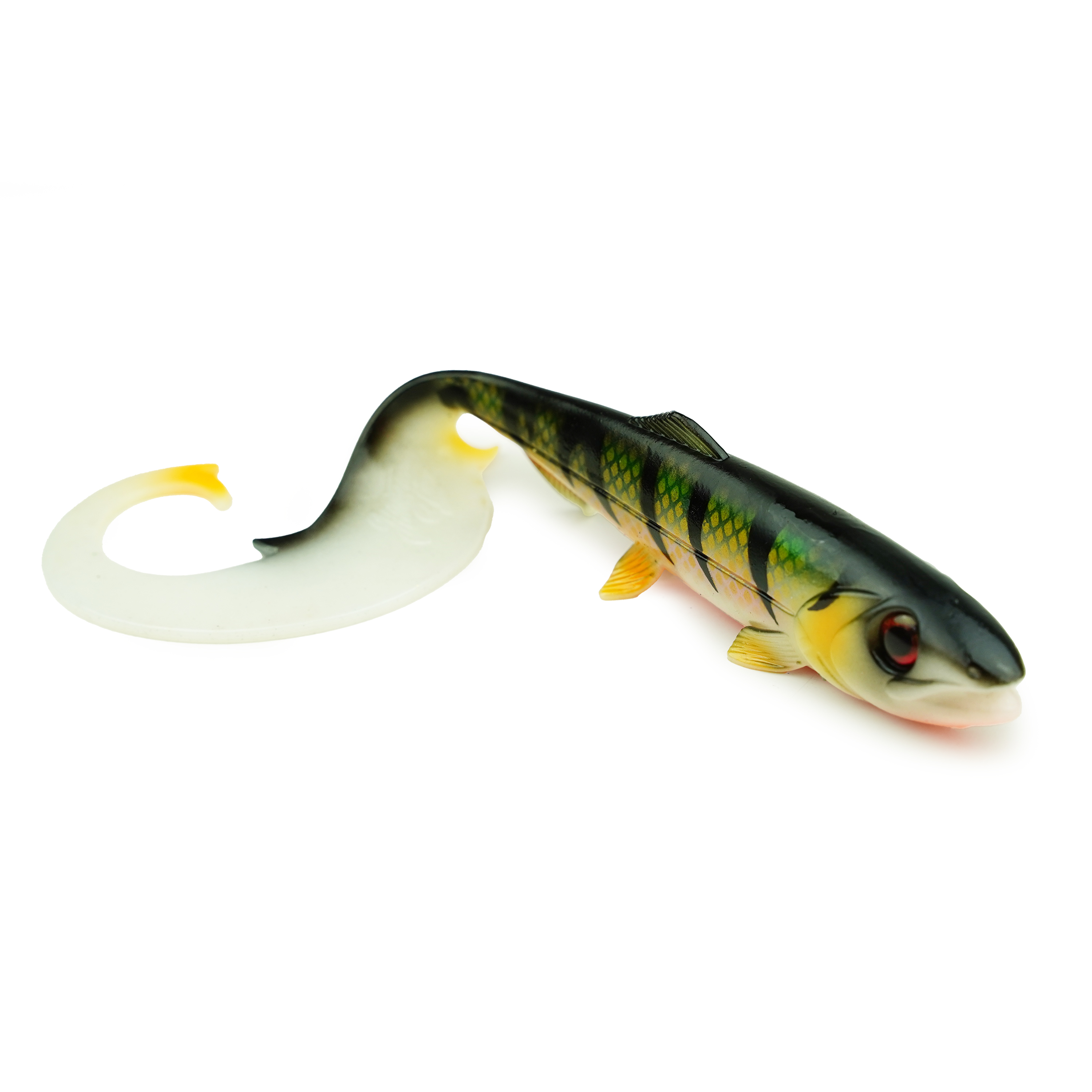 Hostagevalley Curlytail - Purpur Perch - 24cm