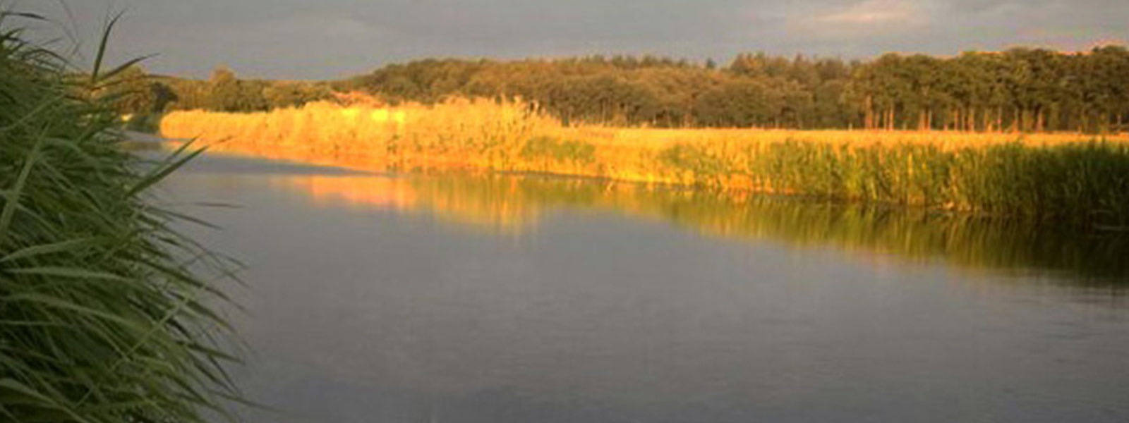 Sessie_voorjaar_ronnie