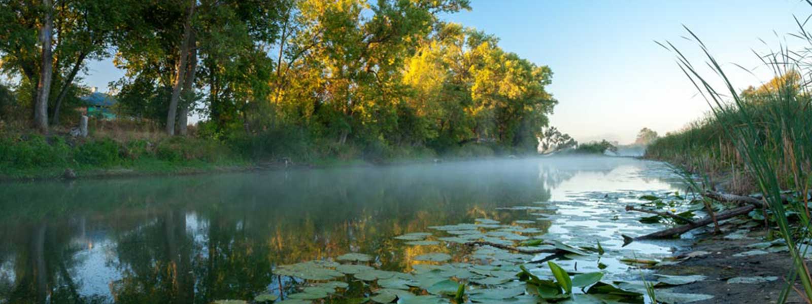 waterplanten_hitenrun_raven
