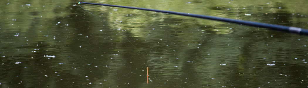 Vaste_stok_met_tuigje_in_het_water