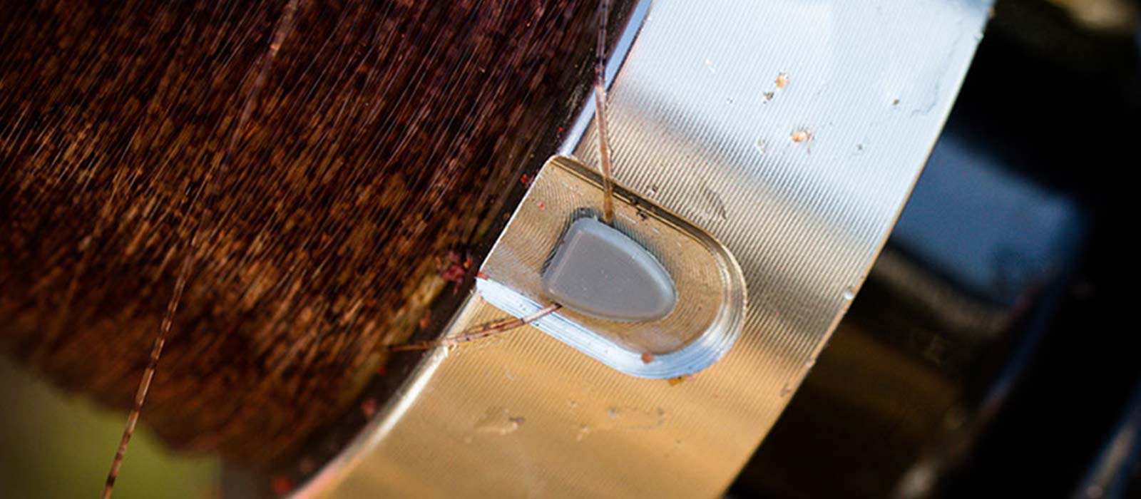 10 tips voor het feedervissen