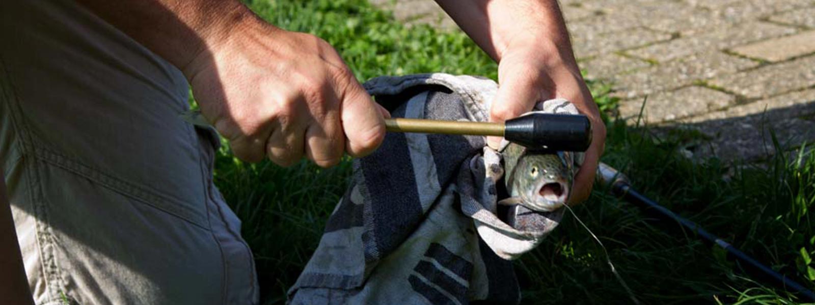 Forelvissen_Priest_Raven