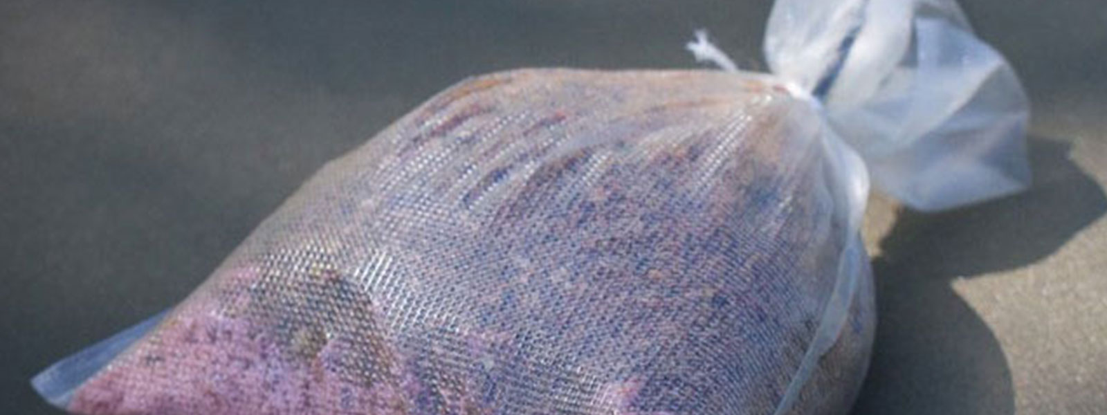 wintervissen-karper-9