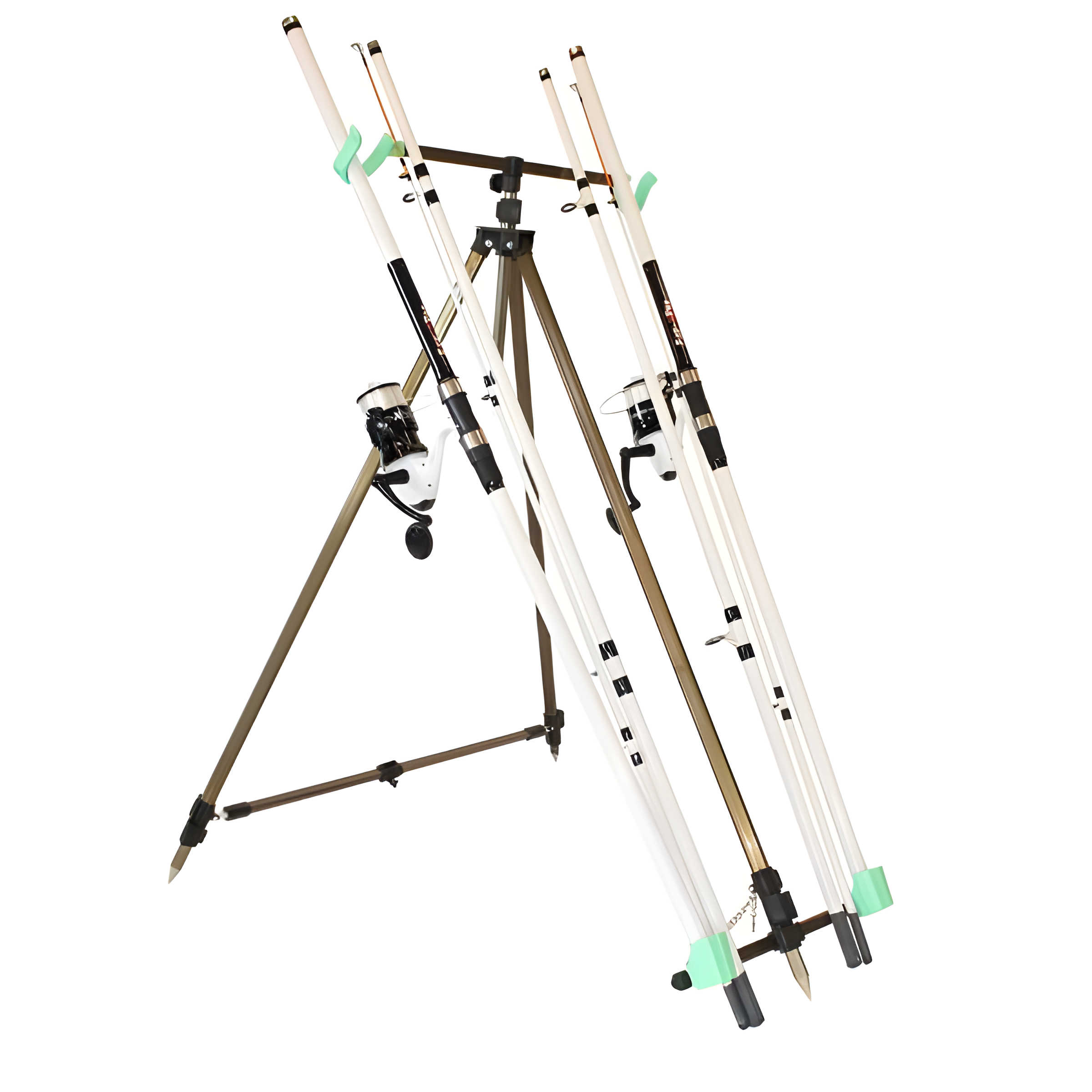 FISH-XPRO Beach Pro DeLuxe | 2-Rod | Strandset | 3.90m