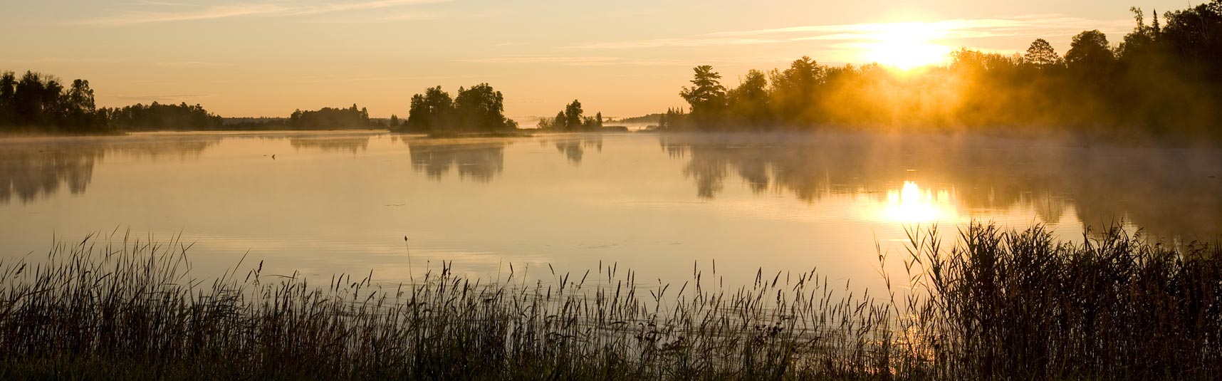 Grotere vissen vangen