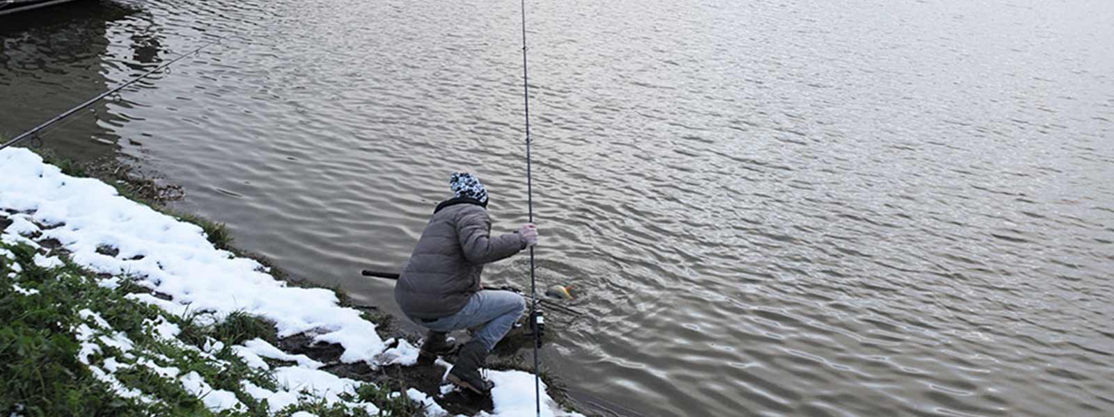 Karpervissen_winter_tips