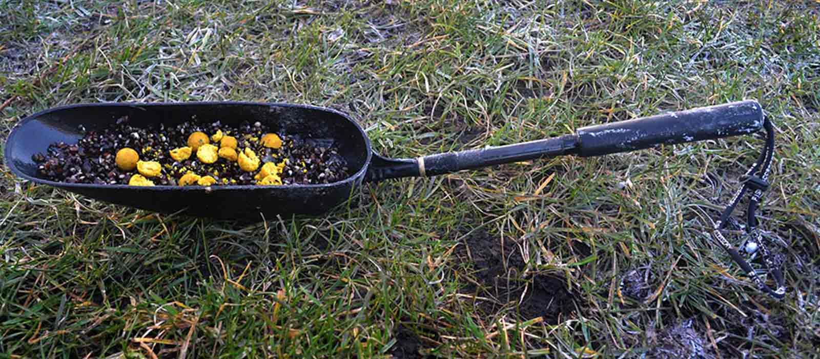 Voerschep_Voertips_Raven