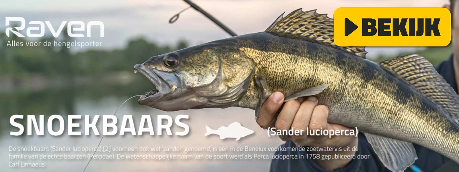 Hengelsport Kalender 2023 Snoekbaars