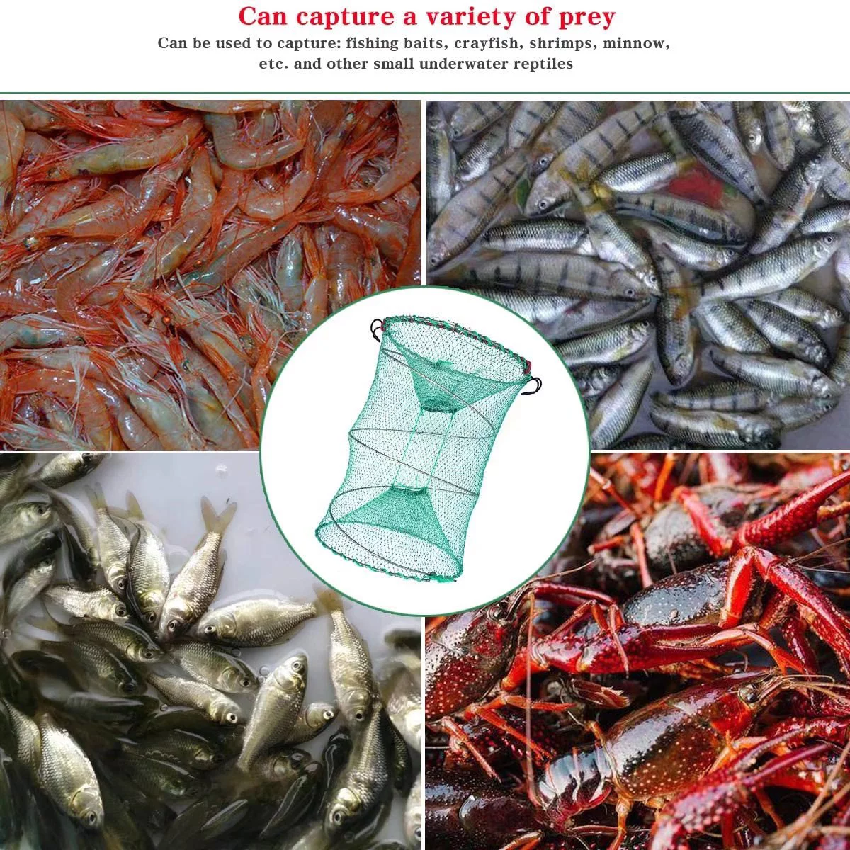 Eurocatch Kreeften fuik - Rivierkreeften Fuik - opvouwbaar - 55x25x25cm 