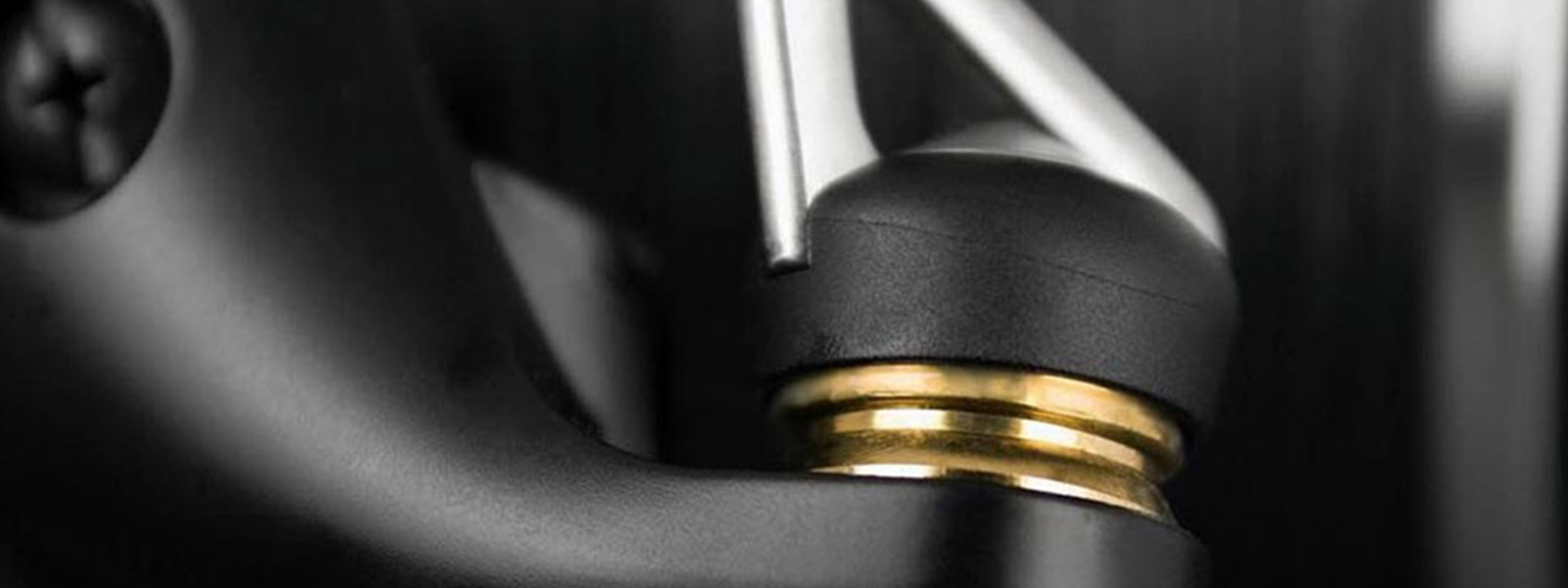 karper_molen_rollager_raven