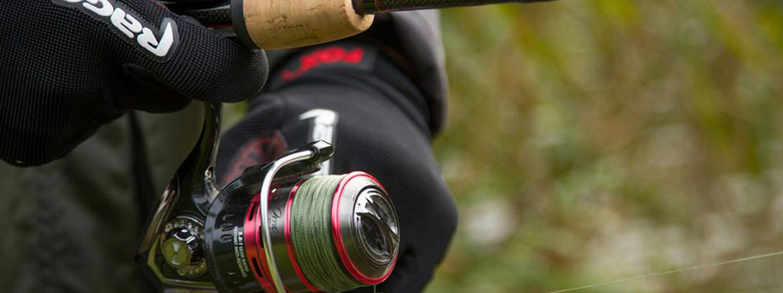 Gevlochtenlijn_uitgelicht_Raven