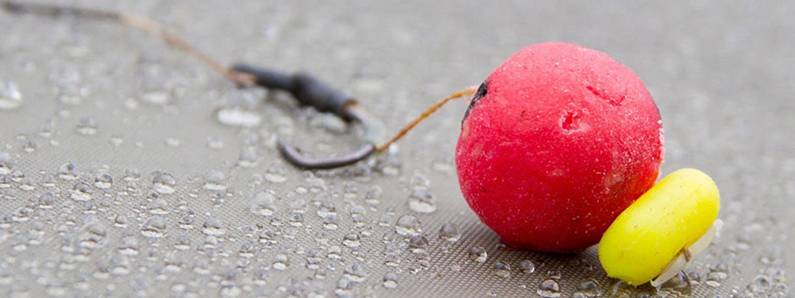 wintervissen-deel-2-foto-2