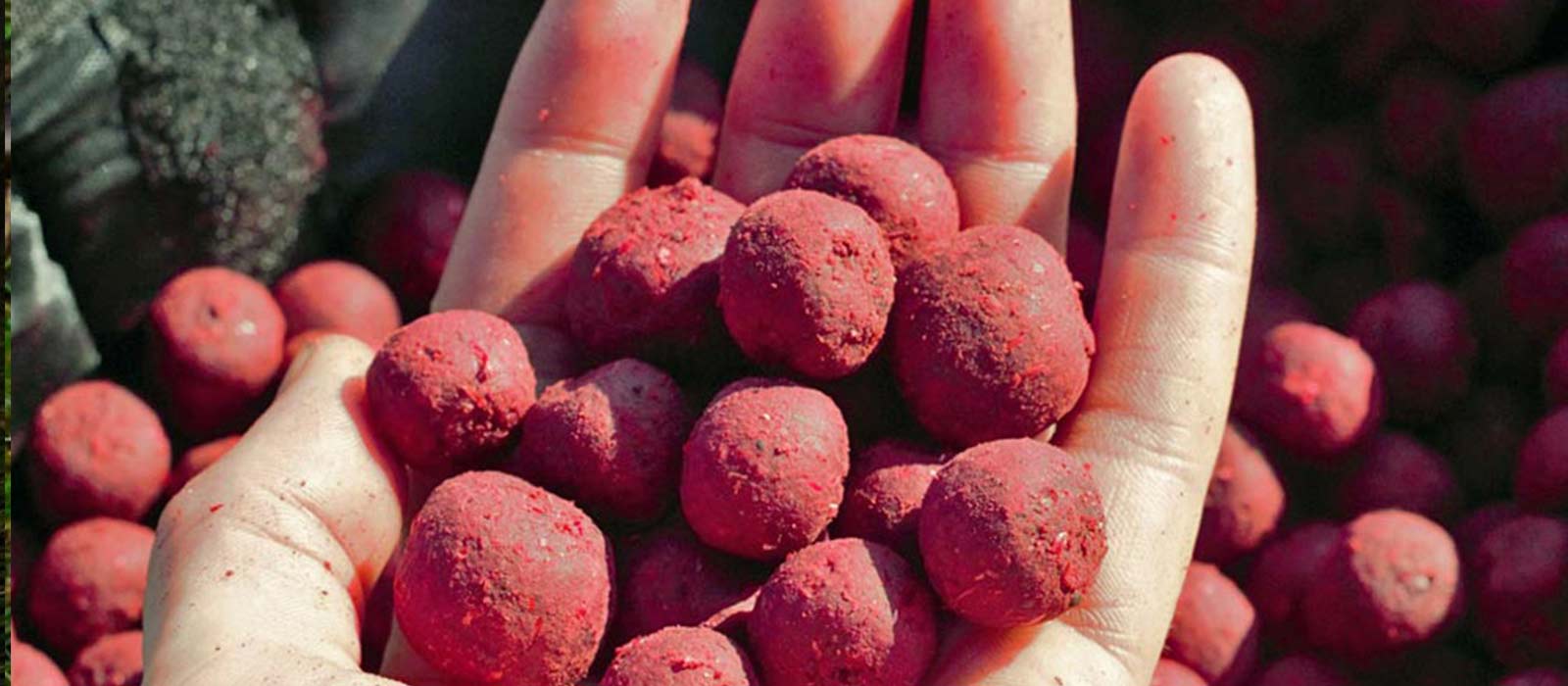 voorvoeren boilies groot water