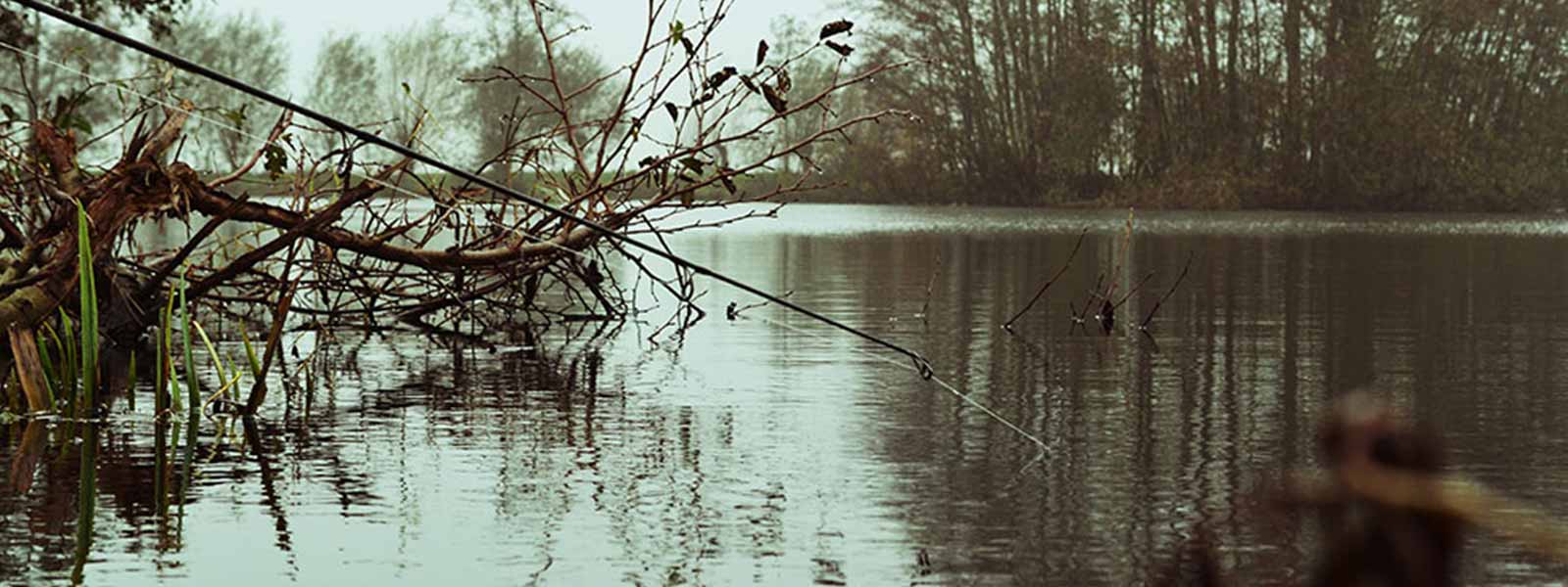 zienisvangen_genieten_raven