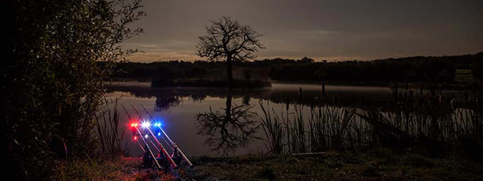 Statisch nachtvissen