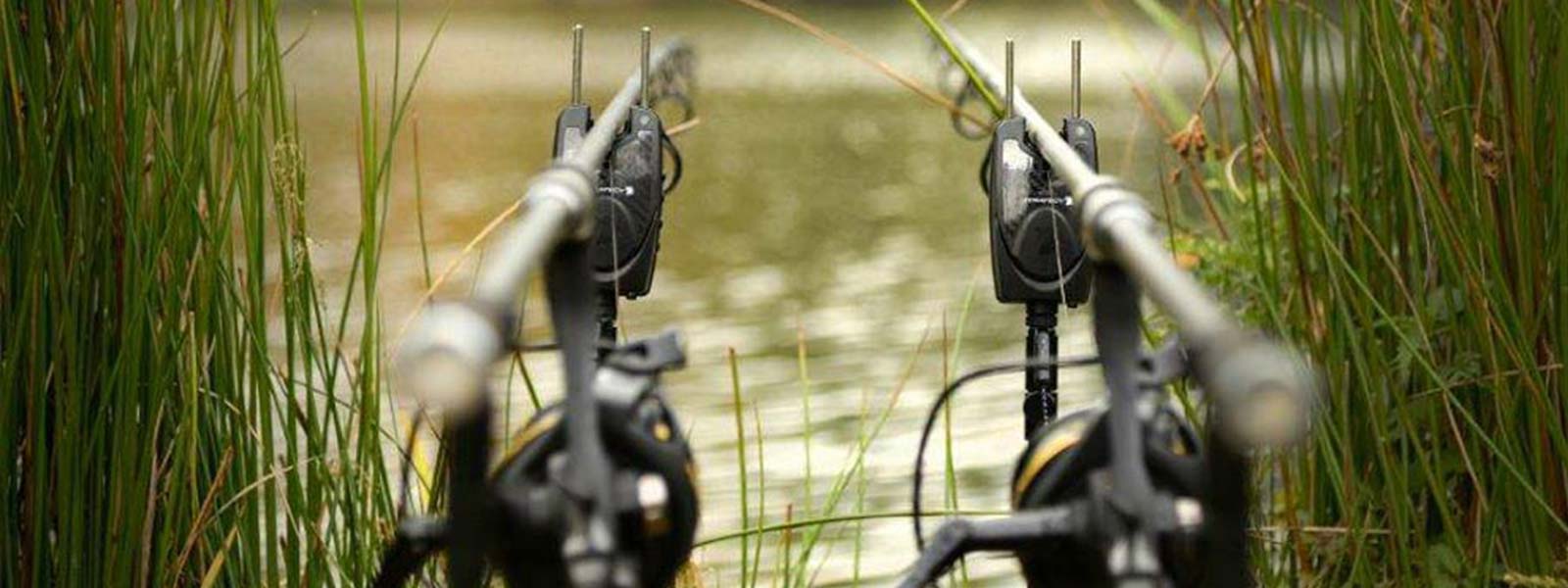 compact_hitenrun_raven