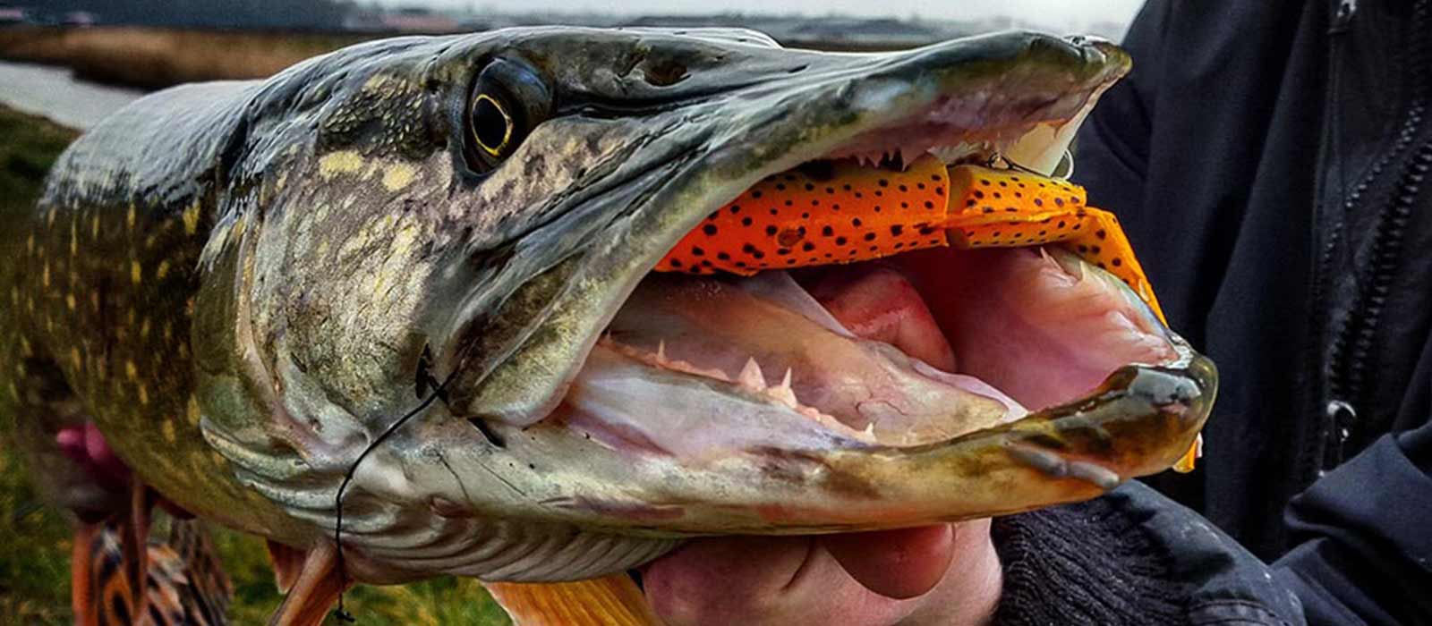 Minder kunstaas verspelen