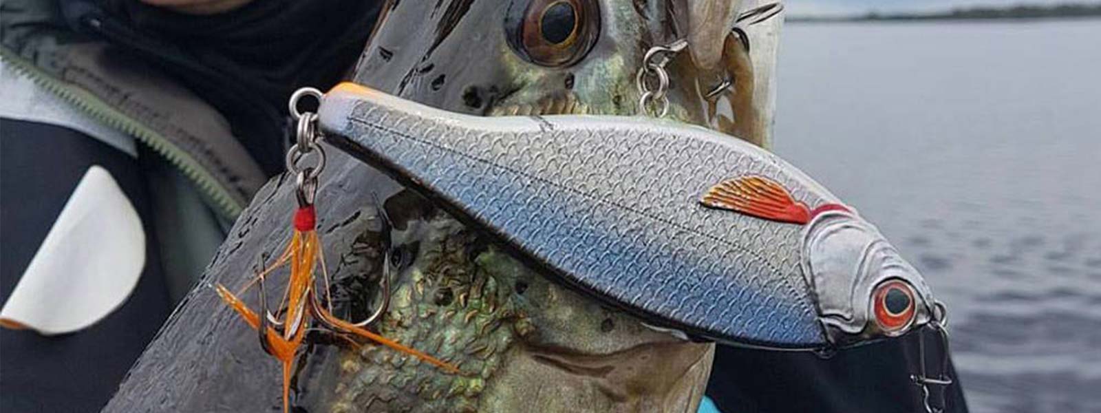 Roofvis_Jerkbait_Jerkster