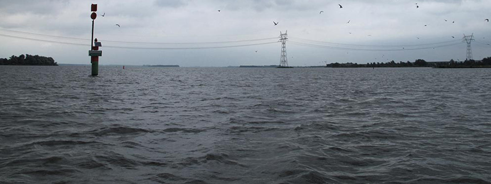 veluwemeer_water_raven