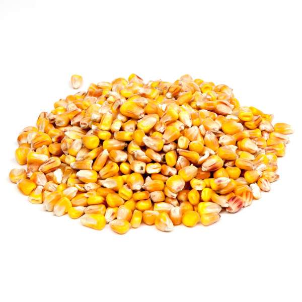Evezet Mais Heel USA | 5kg