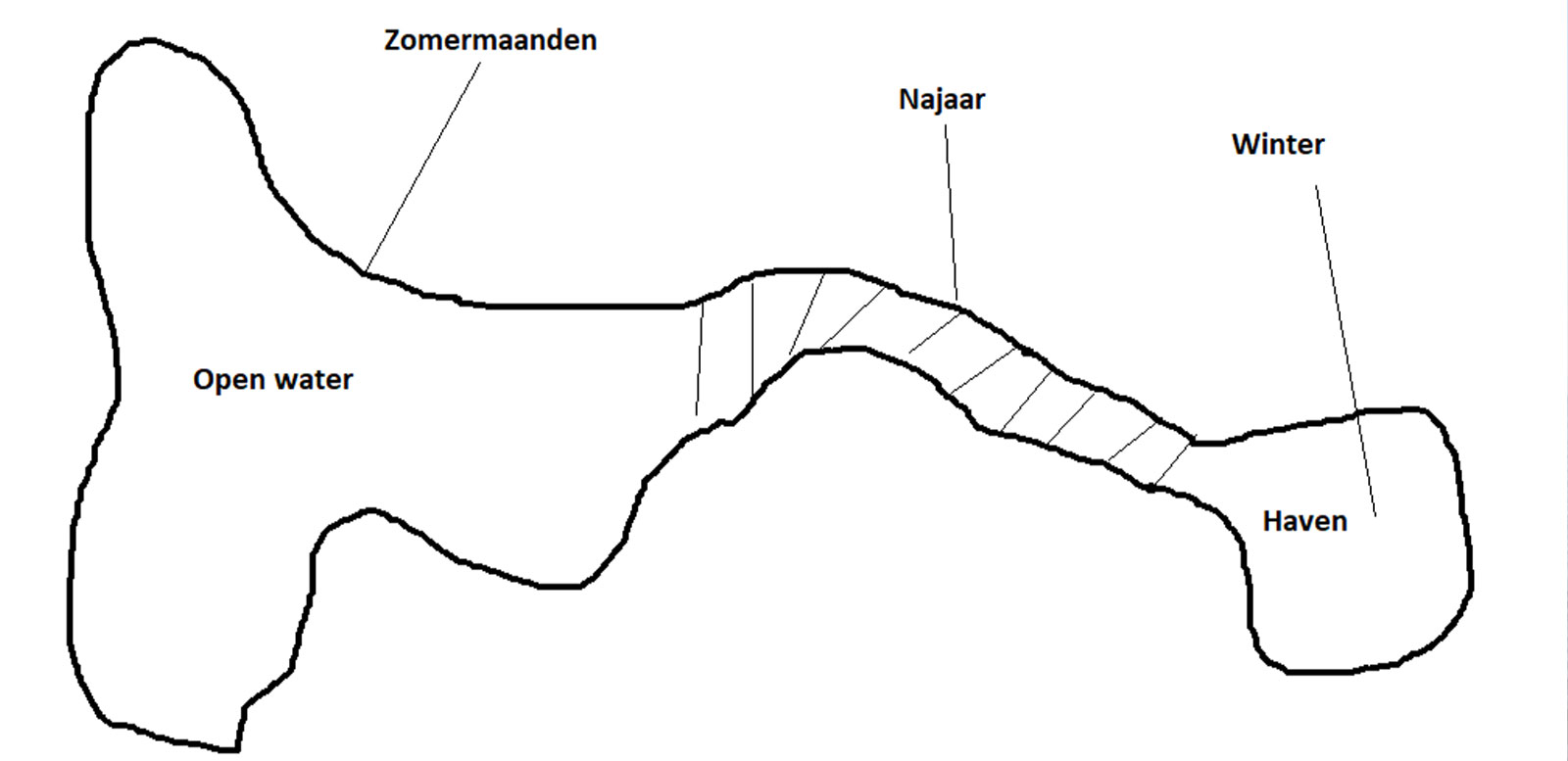 Waar vindt je de snoek per seizoen