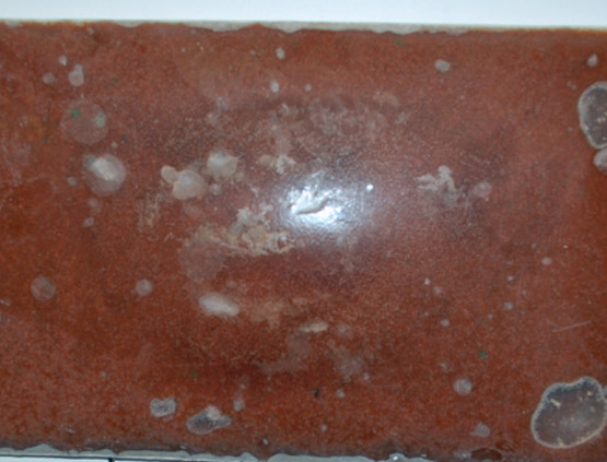 Bevroren Viseieren | Fish Eggs |  1000g | Natuurlijk Aas | Natural Baits 