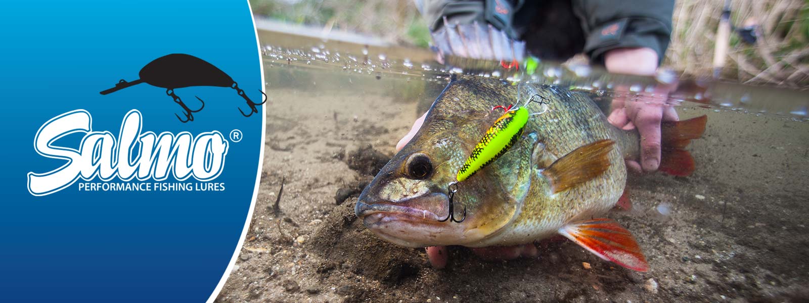 Salmo Rattlin’Hornet 6,5cm - Drijvend