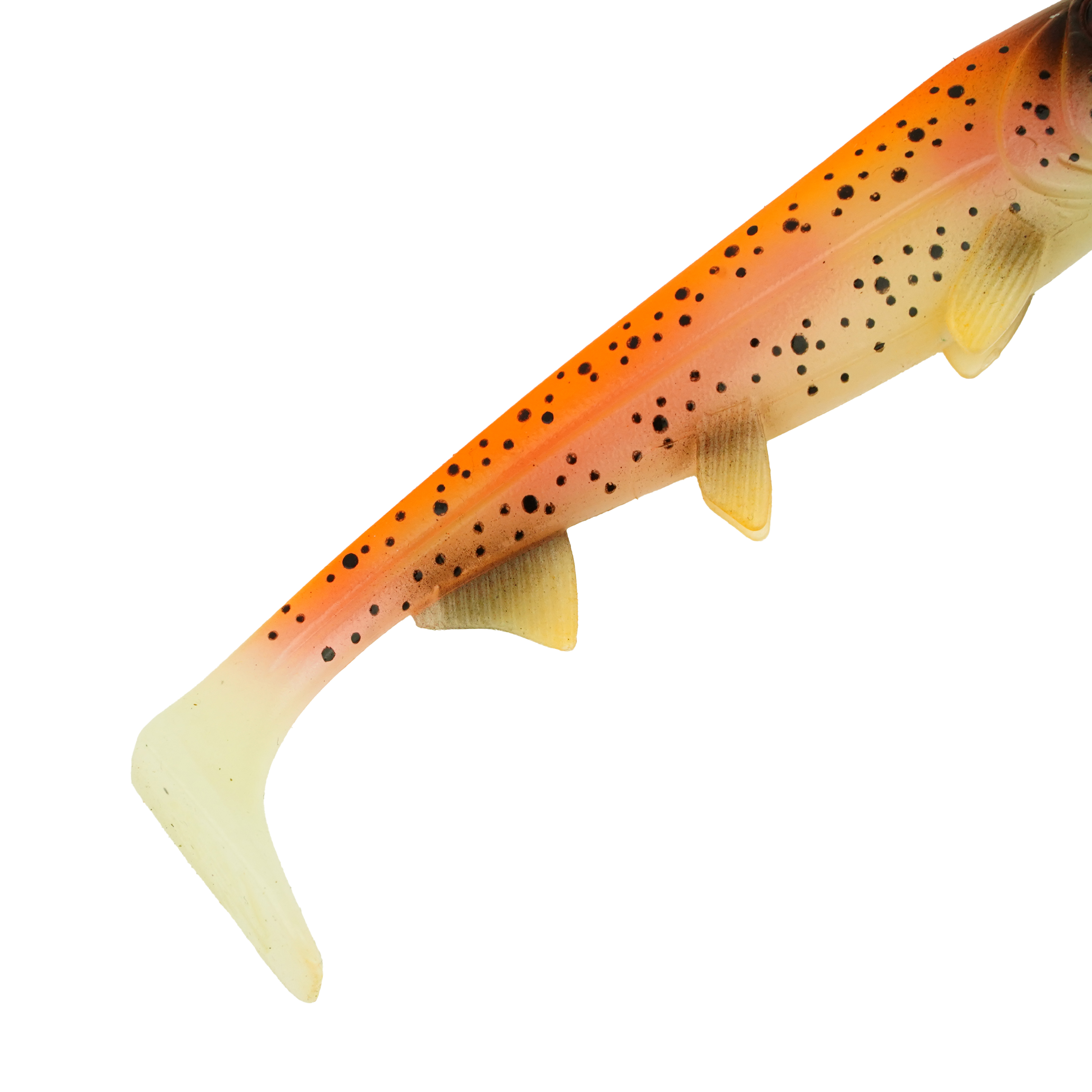 Hostagevalley Shad - Golden Trout - 22cm
