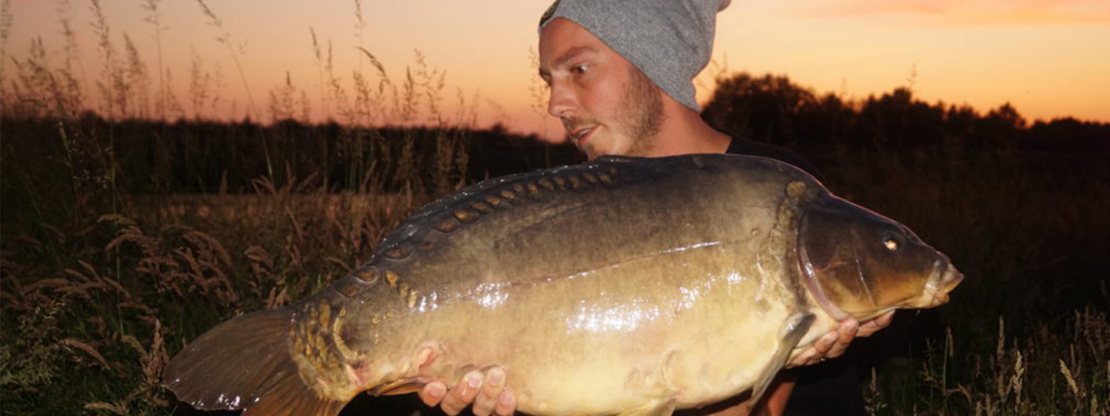 Mosselbank onderwater